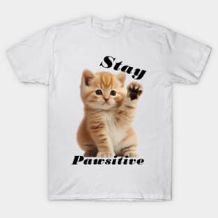 Kitty Says Stay Pawsitive, Cute Kitten Postive Feels T-Shirt